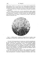 giornale/CFI0298588/1936/V.47/00000164