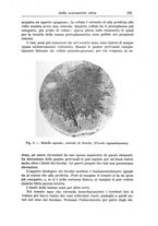 giornale/CFI0298588/1936/V.47/00000165