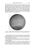 giornale/CFI0298588/1936/V.47/00000167