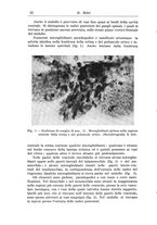 giornale/CFI0298588/1936/V.48/00000028
