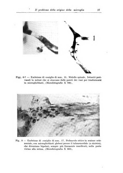 Rivista di patologia nervosa e mentale