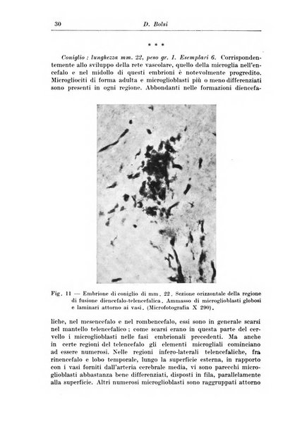 Rivista di patologia nervosa e mentale