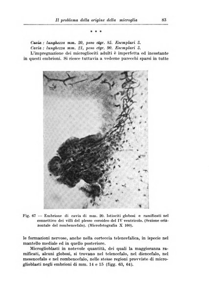 Rivista di patologia nervosa e mentale