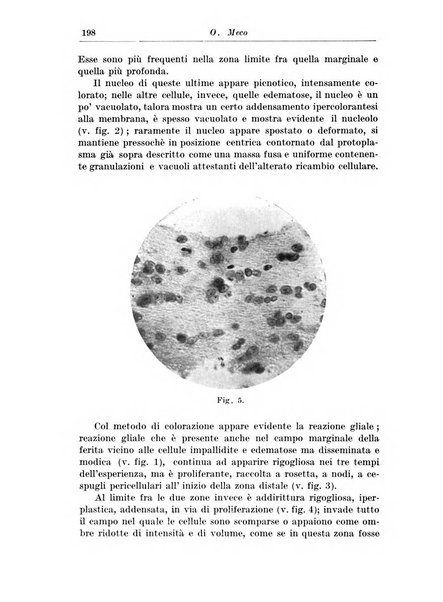 Rivista di patologia nervosa e mentale