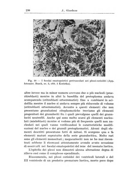 Rivista di patologia nervosa e mentale