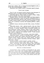 giornale/CFI0298588/1937/V.49/00000400