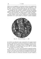 giornale/CFI0298588/1937/V.50/00000026