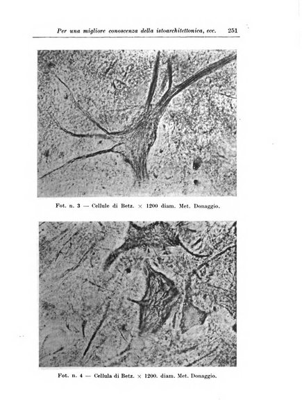 Rivista di patologia nervosa e mentale