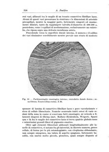 Rivista di patologia nervosa e mentale