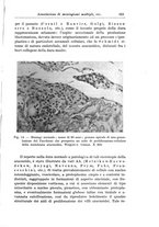 giornale/CFI0298588/1937/V.50/00000329
