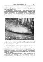 giornale/CFI0298588/1937/V.50/00000573