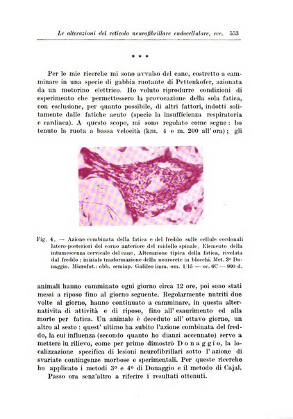 Rivista di patologia nervosa e mentale