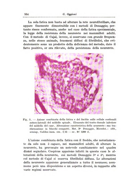 Rivista di patologia nervosa e mentale