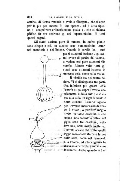 La famiglia e la scuola