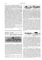 giornale/CFI0307758/1904/unico/00000050