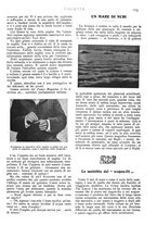 giornale/CFI0307758/1904/unico/00000145