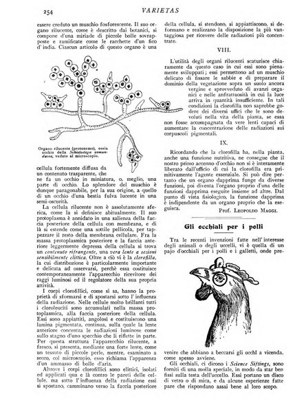 Varietas rivista illustrata