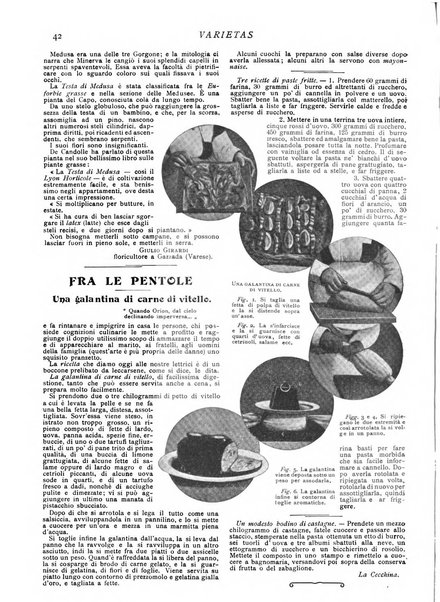 Varietas rivista illustrata