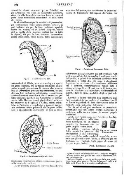 Varietas rivista illustrata