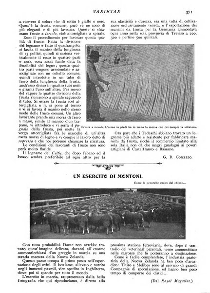 Varietas rivista illustrata