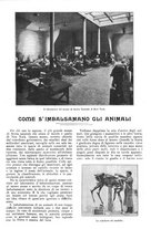 giornale/CFI0307758/1906/V.2/00000055