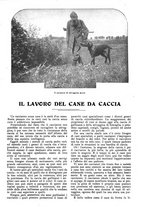 giornale/CFI0307758/1906/V.2/00000173