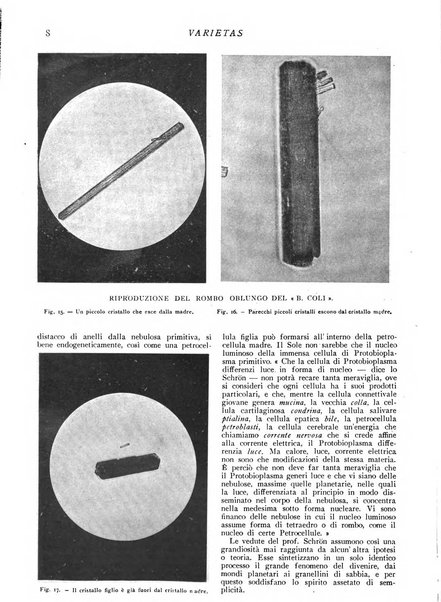 Varietas rivista illustrata