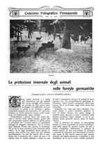 giornale/CFI0307758/1907/V.1/00000029