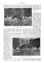 giornale/CFI0307758/1907/V.1/00000030
