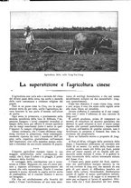 giornale/CFI0307758/1907/V.1/00000349