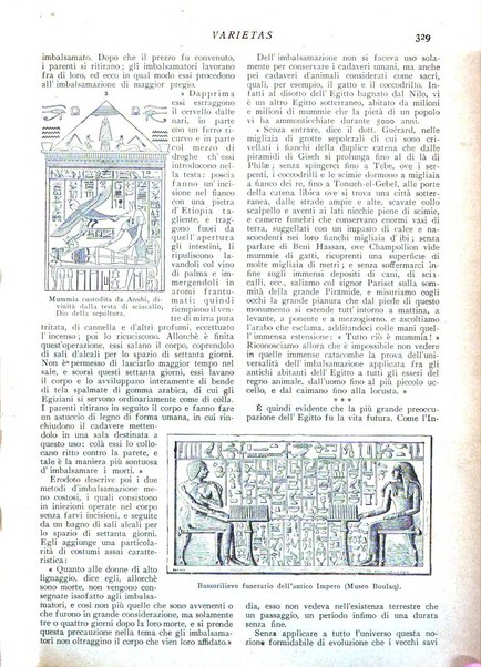 Varietas rivista illustrata