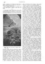 giornale/CFI0307758/1907/V.1/00000396