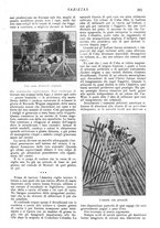 giornale/CFI0307758/1907/V.1/00000433