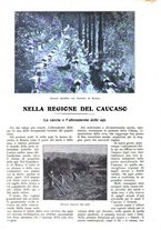 giornale/CFI0307758/1907/V.1/00000508