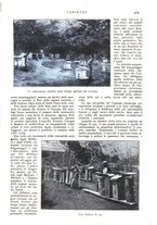 giornale/CFI0307758/1907/V.1/00000509
