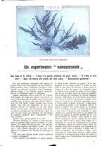 giornale/CFI0307758/1907/V.1/00000533