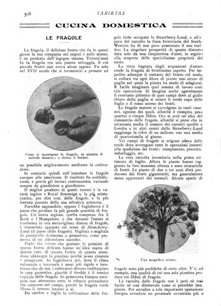 Varietas rivista illustrata