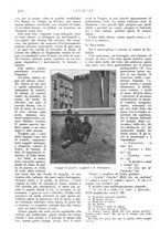 giornale/CFI0307758/1907/V.2/00000232