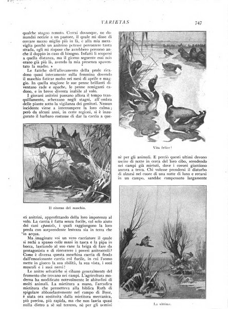 Varietas rivista illustrata