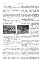 giornale/CFI0307758/1907/V.2/00000356