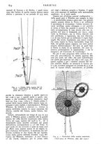 giornale/CFI0307758/1907/V.2/00000418