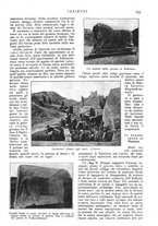giornale/CFI0307758/1908/V.1/00000261