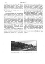 giornale/CFI0307758/1908/V.1/00000262