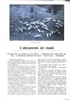 giornale/CFI0307758/1908/V.2/00000048