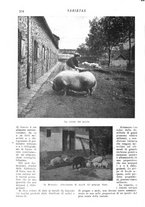 giornale/CFI0307758/1908/V.2/00000050
