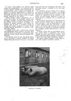 giornale/CFI0307758/1908/V.2/00000051