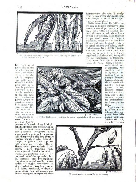 Varietas rivista illustrata