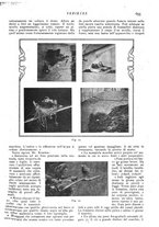 giornale/CFI0307758/1908/V.2/00000147