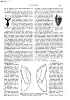 giornale/CFI0307758/1908/V.2/00000157