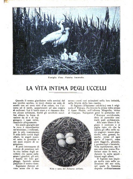 Varietas rivista illustrata